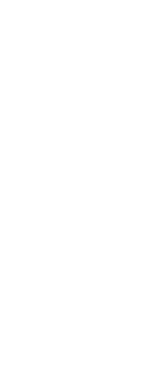 Skeleton
